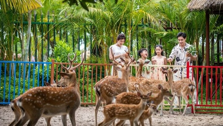 B\u00ed K\u00edp Oanh T\u1ea1c VinWonders Nam H\u1ed9i An Cho Gia \u0110\u00ecnh C\u00f3 B\u00e9 Nh\u1ecf