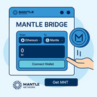 How to Claim the Mantle Airdrop Step-by-Step