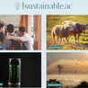 Carbon Footprint Awareness: Steps Toward Sustainability