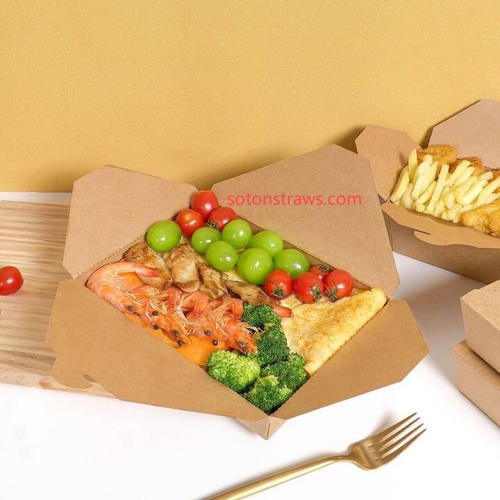 Soton's Disposable Kraft Box: Beyond Greenwashing to Real Sustainability