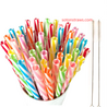 Soton PP Straw and Sustainable Alternatives