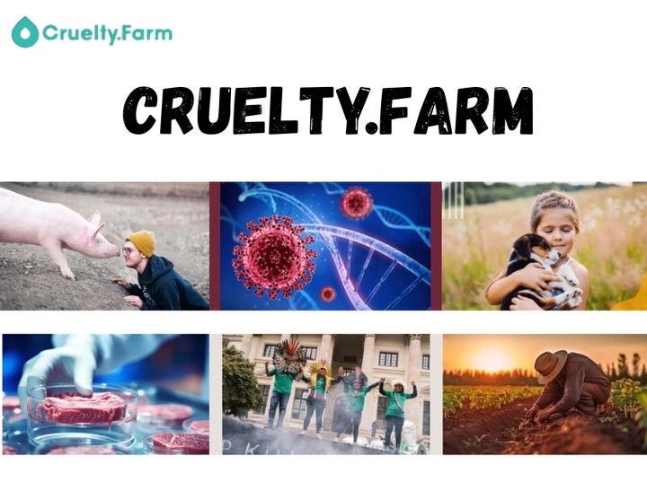 When Animals Suffer, So Do We: The Overlooked Victims of Factory Farms