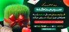Sibbet The Rise of a Digital Phenomenon Bridging Community and Technology