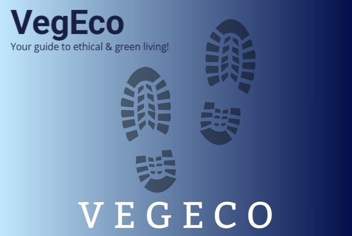 Vegeco: Your Partner in Sustainable Living Choices