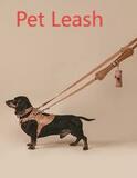 City-Ready Gear for Dog Owners