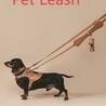City-Ready Gear for Dog Owners