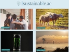 Integrating Sustainability into Your Operations: Best Practices for Minimizing Your Carbon Footprint