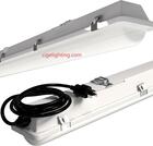 Cigelighting Led Tri-proof Lamp Factory: Genuine Performance Assurance