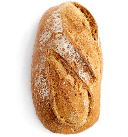  Why You Need to Ditch the Generic Sesame Bun Immediately